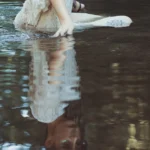 Fotografo artistico Imperia - riflesso modella in acqua