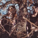 Due ragazze seminascoste tra i rami di un albero, luce calda, fotografia fashion atmosferica