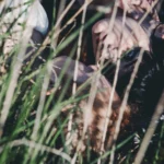 Fotografo dark Imperia - volti tra erba alta luci ombre