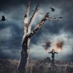 Fotografo dark Imperia - modella fumogeno arancione corvi albero secco